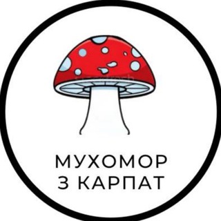 Логотип телеграм спільноти - Мухомор з Карпат 🍄