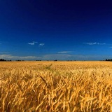 Логотип телеграм спільноти - ВП ОрТех