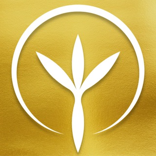 Logo de la comunidad de Telegram — Мій Світ