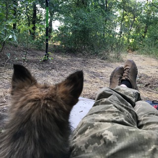 Логотип телеграм спільноти - Заберіть у Ліпка РПГ (забрали)