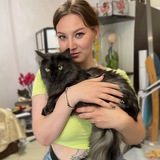 Логотип телеграм спільноти - Котики на сісічках 🍒