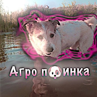 Одине з зображень історіі логотипів цієї спільноти