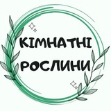 Logo de la comunidad de Telegram — 🪴 КІМНАТНІ РОСЛИНИ 🪴