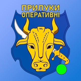 Логотип телеграм спільноти - 🛡 Прилуки Оперативні