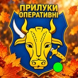 Логотип телеграм спільноти - 🛡 Прилуки Оперативні