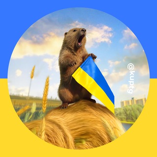 One of the images from the logo history of this community