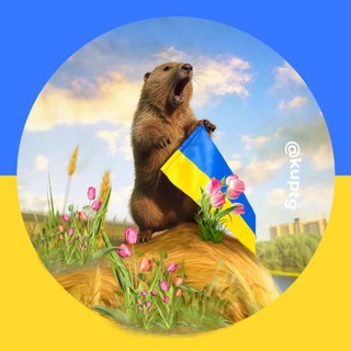 One of the images from the logo history of this community