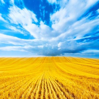 Одине з зображень історіі логотипів цієї спільноти