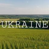 Логотип телеграм спільноти - 