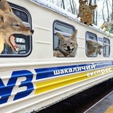 Логотип телеграм спільноти - Шакалячий Експрес 🇺🇦 18✙