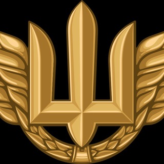 Logo de la comunidad de Telegram — Полковник ГШ