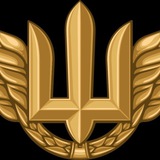 Логотип телеграм спільноти - Полковник ГШ