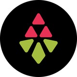 Logo de la comunidad de Telegram — Каштан NEWS