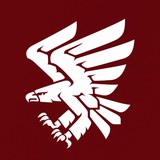 Logo de la comunidad de Telegram — 95 окрема десантно-штурмова Поліська бригада