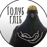 Логотип телеграм спільноти - Голуб Гліб