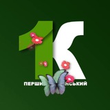 Telegram community logo — Перший Кам'янський