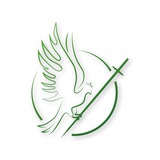 Logo de la comunidad de Telegram — Новий Чернігів Телеканал
