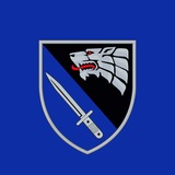 Логотип телеграм спільноти - 6 полк ССО "РЕЙНДЖЕР"