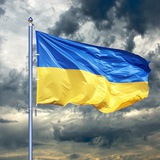 Логотип телеграм спільноти - Допомога Волонтерським пунктам Відень