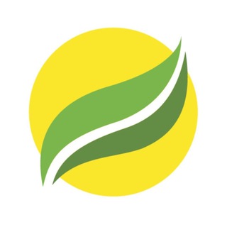 Логотип телеграм спільноти - БФ "Рокада" Івано-Франківськ