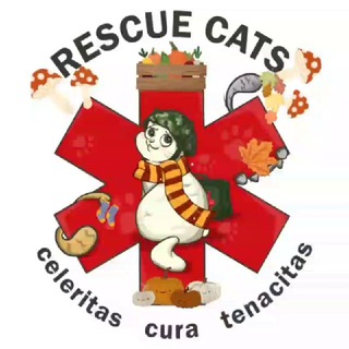 Una de las imágenes del historial de logotipos de esta comunidad