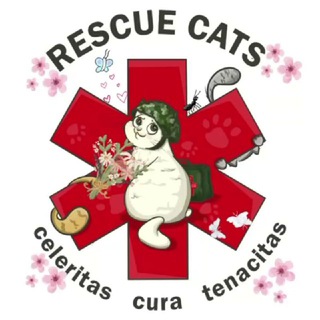 Логотип телеграм спільноти - RESCUE CATS