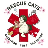 Логотип телеграм спільноти - RESCUE CATS