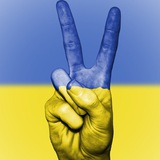 Логотип телеграм спільноти - Інформатор України