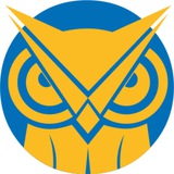 Логотип телеграм спільноти - Дослідницько-аналітична група InfoLight.UA