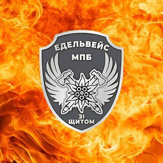One of the images from the logo history of this community