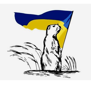 Telegram community logo — КУП'ЯНСЬК Gromada Group | Вузловий Ківшарівка Великий Бурлук Вільхуватка Дворічна Кіндрашівка Курилівка Петропавлівка Шевченкове