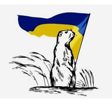 Логотип телеграм спільноти - 