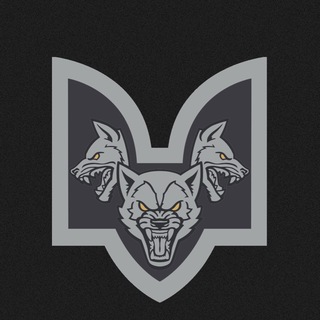 Логотип телеграм спільноти - Окремий батальйон Вовки Да Вінчі