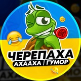 Логотип телеграм спільноти - Черепаха Аха-Аха | Гумор