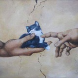 Логотип телеграм спільноти - Котішечки коти