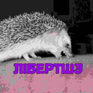 Логотип телеграм спільноти - 