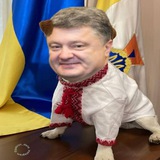 Logo de la comunidad de Telegram — Паблік з відосами 🇺🇦 #УкрТґ