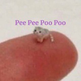 Logo de la comunidad de Telegram — PeePeePooPoo