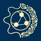 Logo de la comunidad de Telegram — Ave Team Україна 🇺🇦