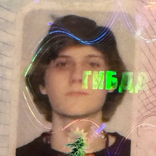 Логотип телеграм спільноти - Zip_