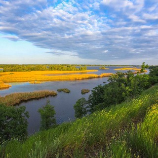 Логотип телеграм спільноти - Великий ЛУГ