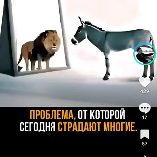 Одине з зображень історіі логотипів цієї спільноти