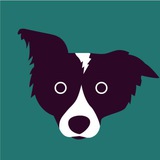 Logo de la comunidad de Telegram — Меланія Подоляк