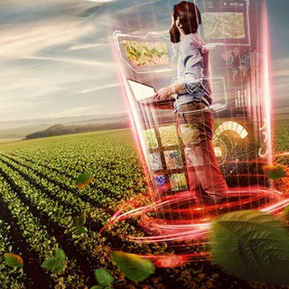 Logo de la comunidad de Telegram — Agrobox