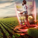 Logo de la comunidad de Telegram — Agrobox