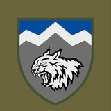 Логотип телеграм спільноти - 108 ОГШБ.