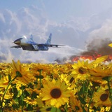 Соняшник🦅