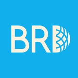 Логотип телеграм спільноти - BRD24 - Бердянськ 24