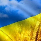 Логотип телеграм спільноти - Волонтерський центр Вільногірська