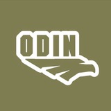 Logo de la comunidad de Telegram — ODIN I UA miltech project